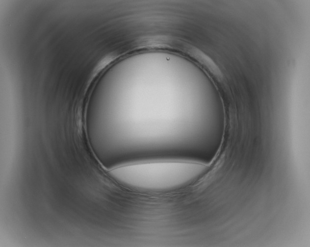 X0000113241226200909100916