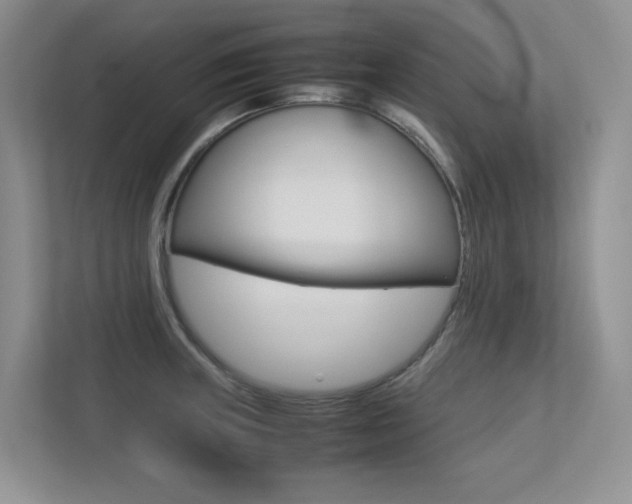 X0000113241235200909100916