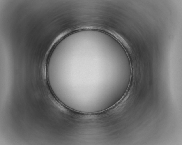 X0000113241238200909100916