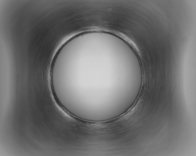 X0000113241239200909100916