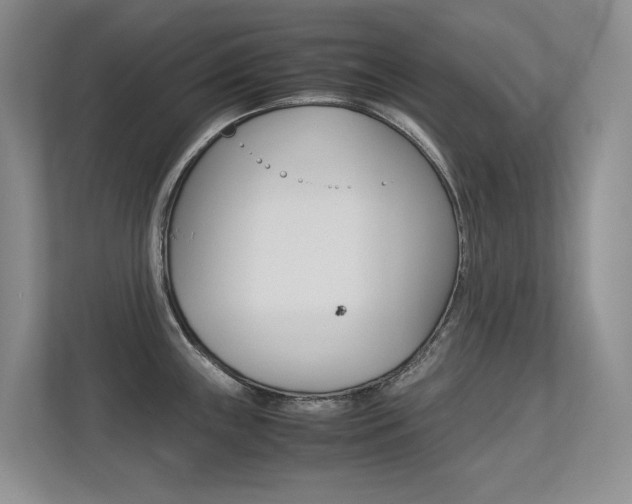 X0000113241243200909100916