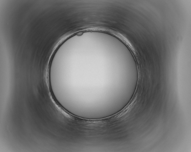 X0000113241247200909100916