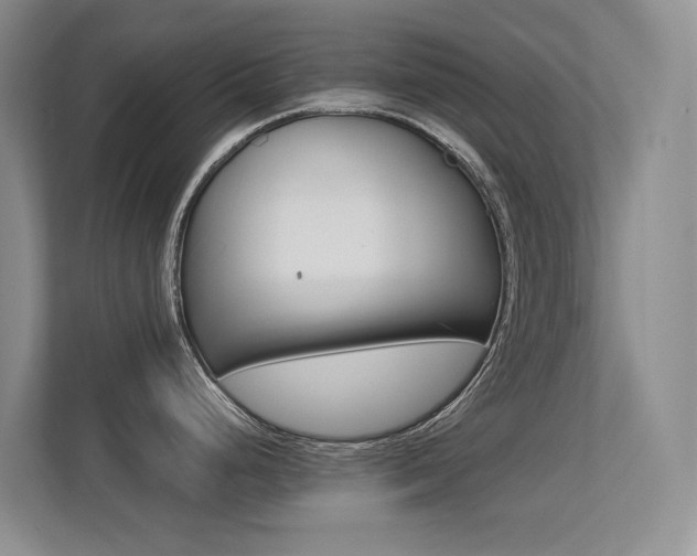 X0000113241248200909100916