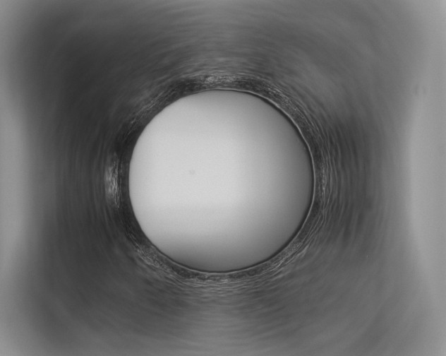 X0000113241250200909100916