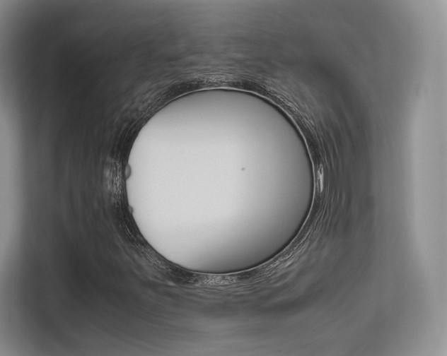 X0000113241251200909100916