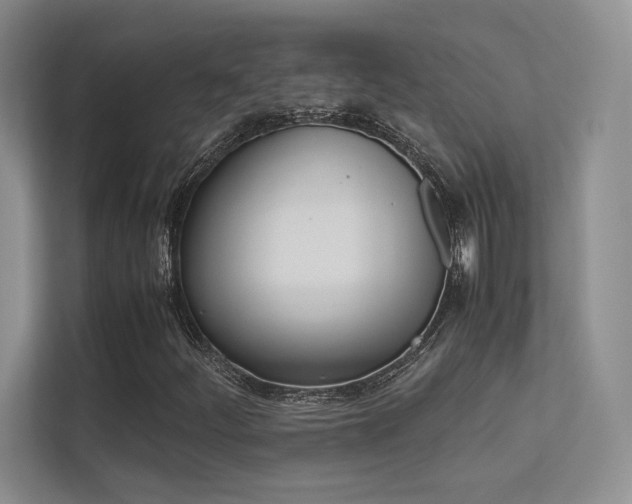 X0000113241252200909100916