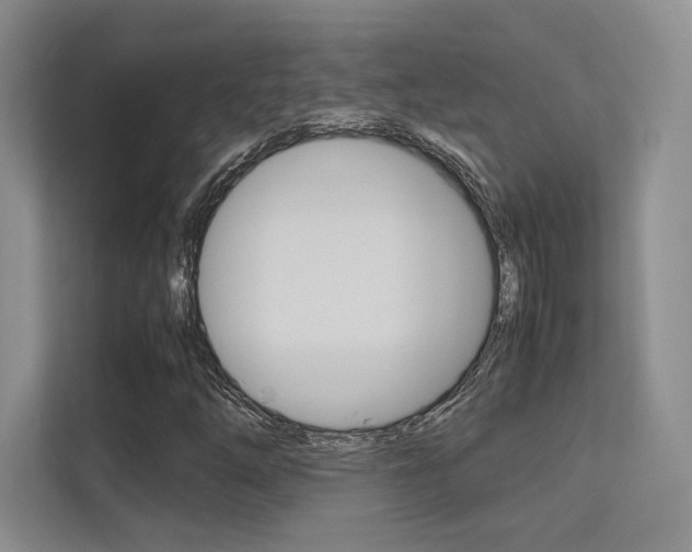 X0000113241254200909100916