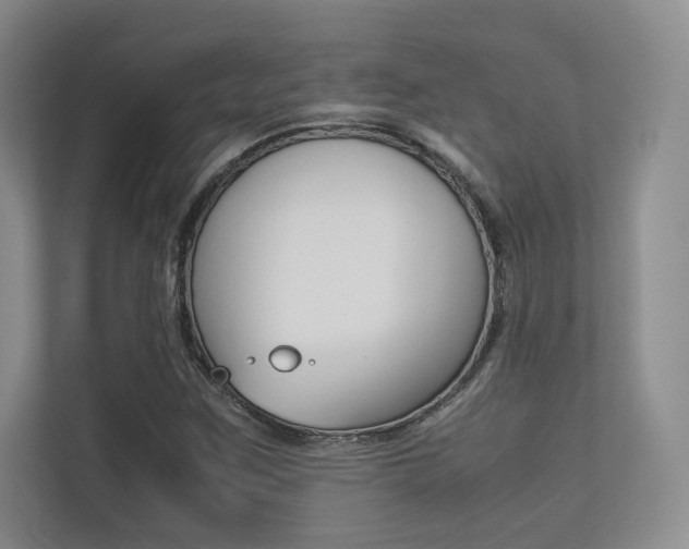 X0000113241259200909100916