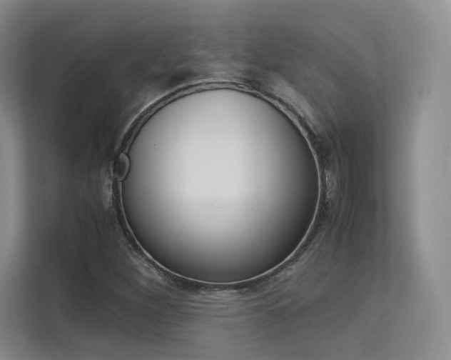 X0000113241260200909100916