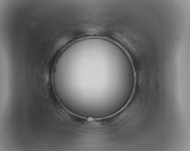 X0000113241261200909100916