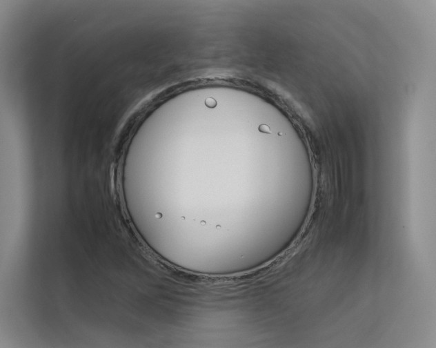 X0000113241262200909100916