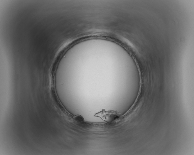 X0000113241267200909100915