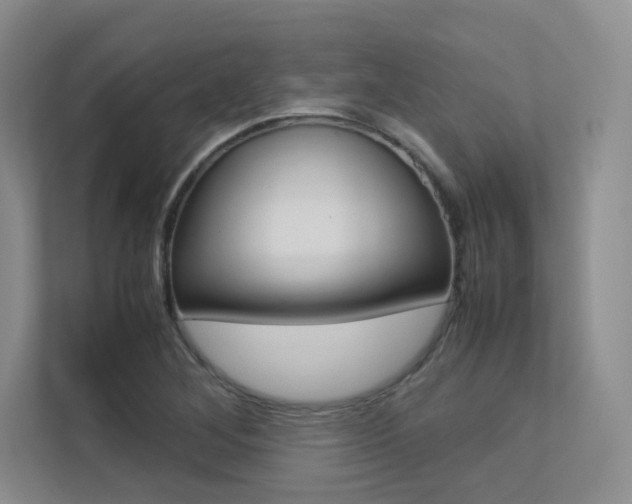 X0000113241268200909100915