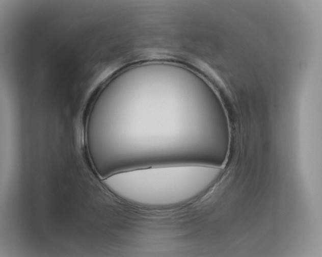 X0000113241269200909100915