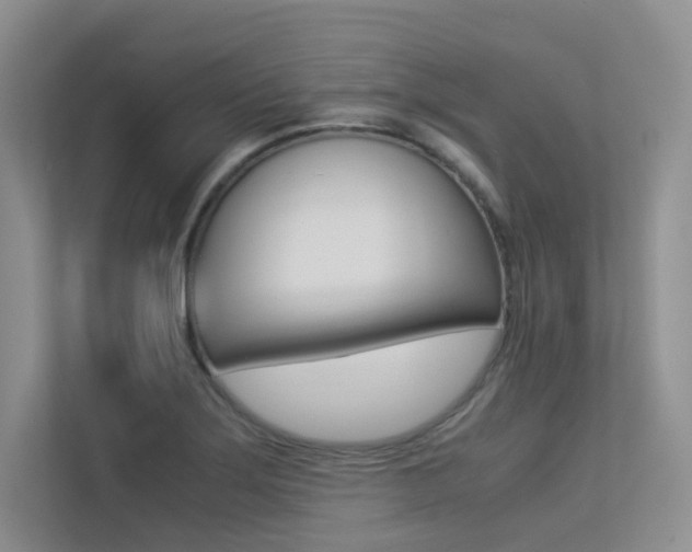 X0000113241275200909100915