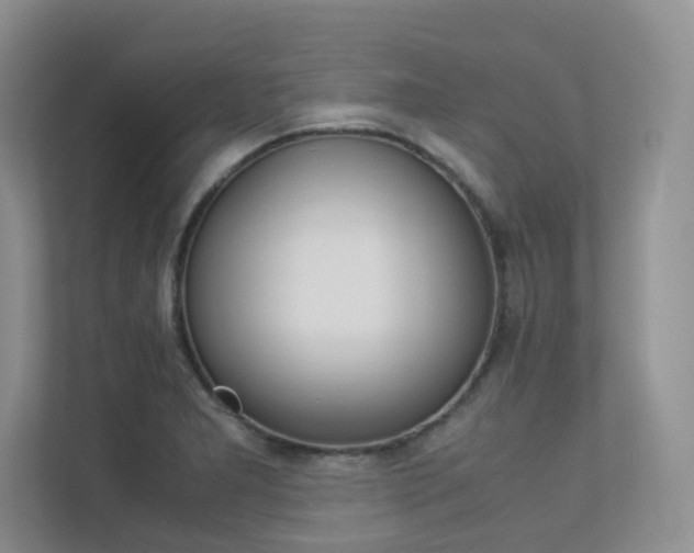 X0000113241277200909100915