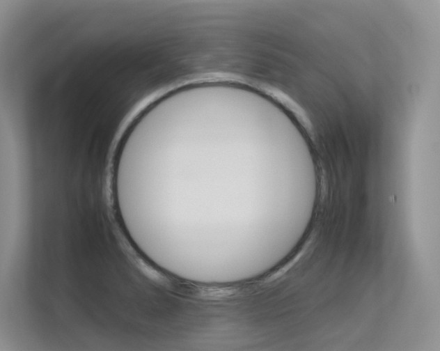 X0000113241278200909100915