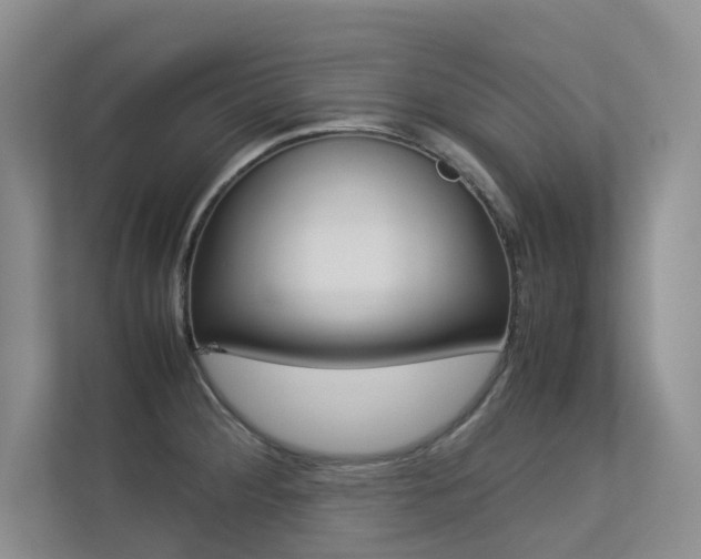 X0000113241284200909100915