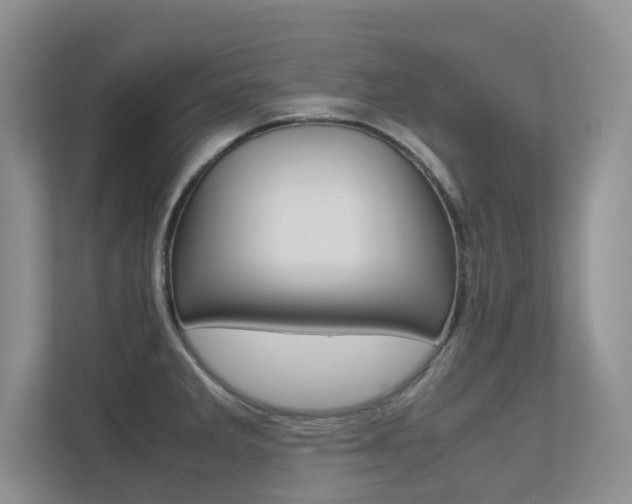 X0000113241285200909100915