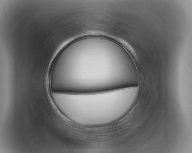 X0000113241287200909100915