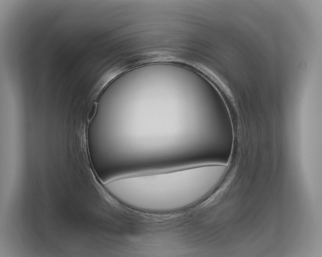 X0000113241289200909100915