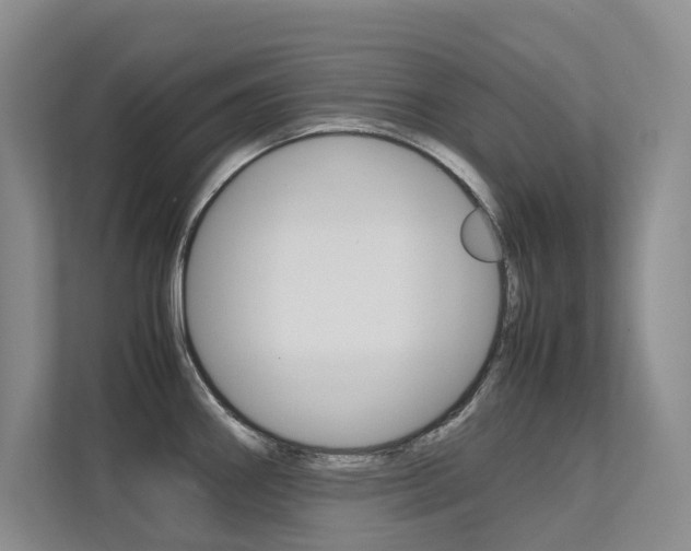 X0000113241290200909100915