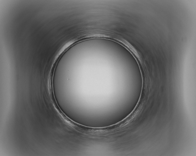 X0000113241293200909100915