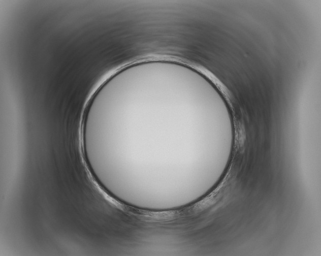 X0000113241294200909100915