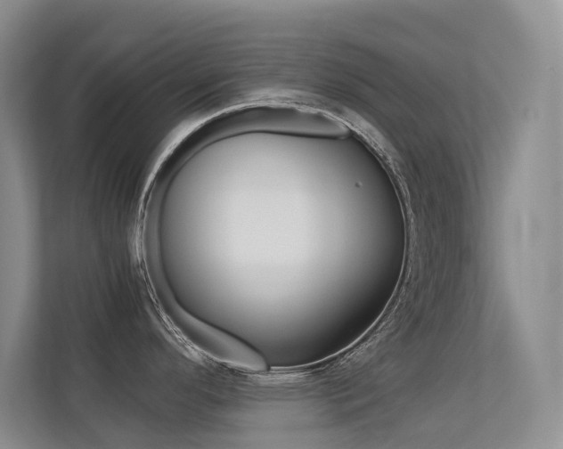 X0000113241296200909100915