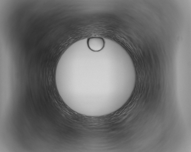 X0000113241298200909100915