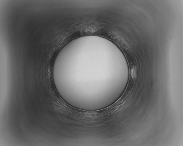 X0000113241299200909100915