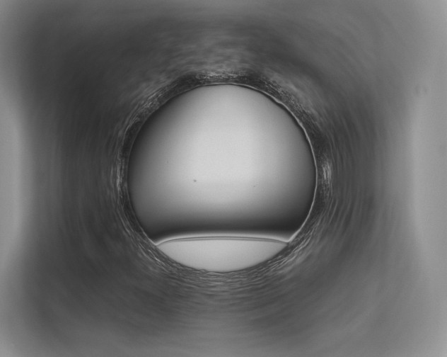 X0000113241300200909100915