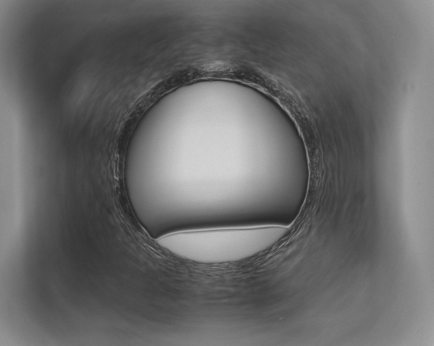 X0000113241301200909100915