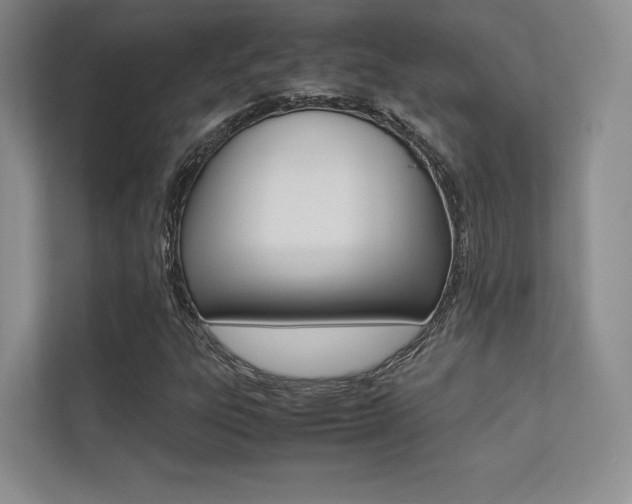 X0000113241303200909100915