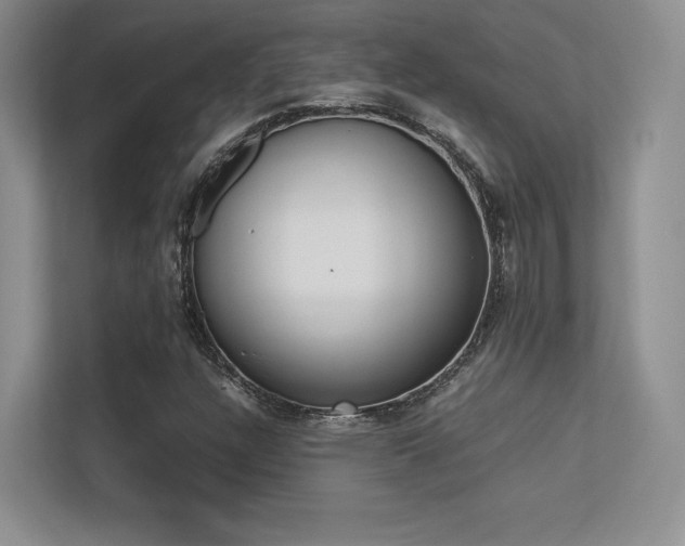 X0000113241304200909100915