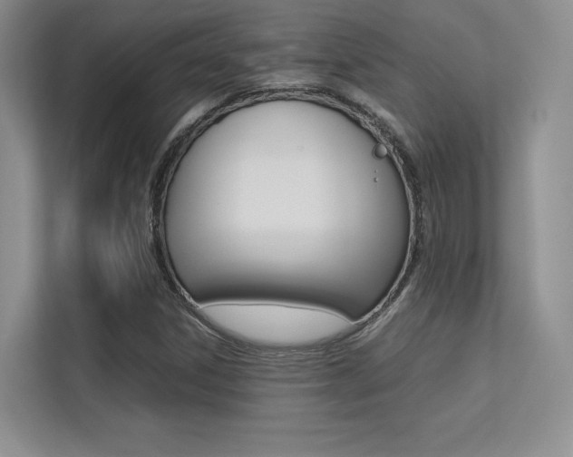 X0000113241306200909100915