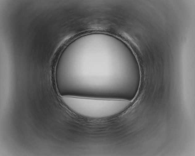 X0000113241307200909100915