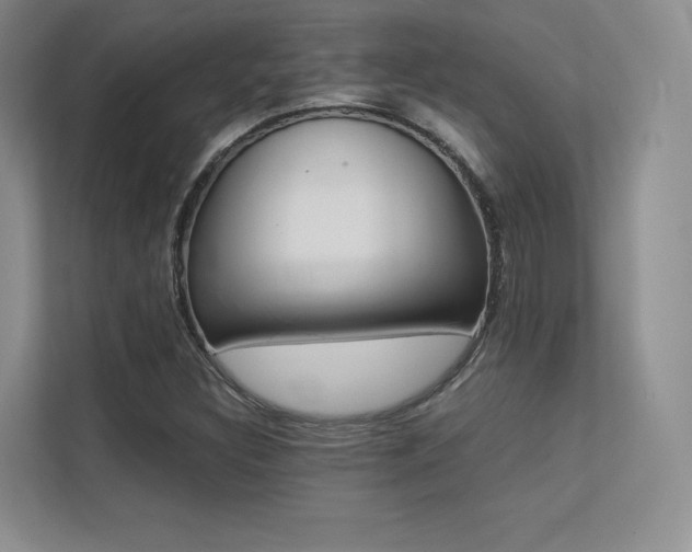 X0000113241308200909100915