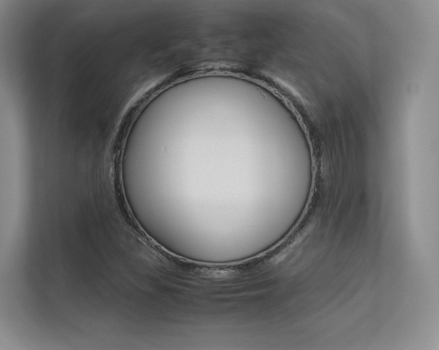 X0000113241309200909100915