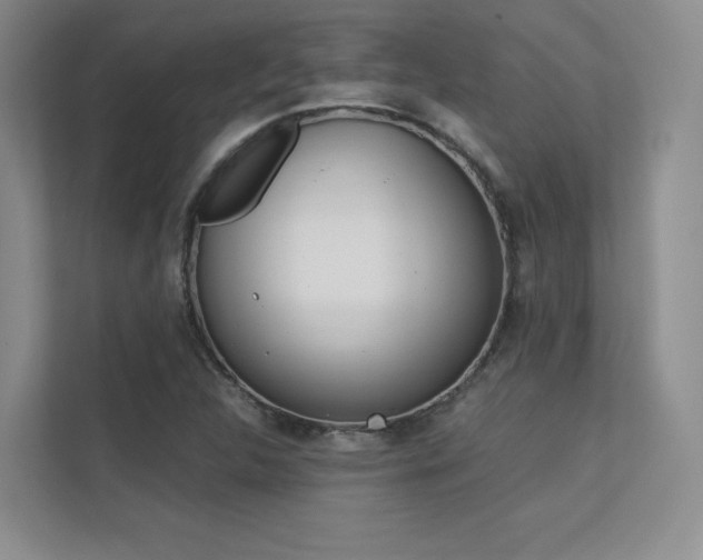 X0000113241312200909100915