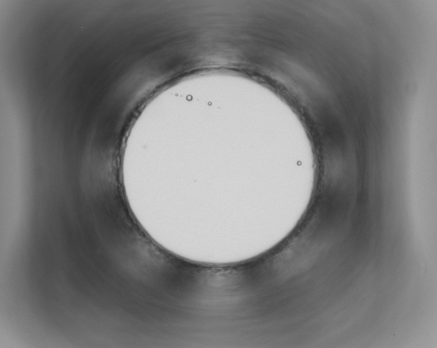 X0000113241314200909100915