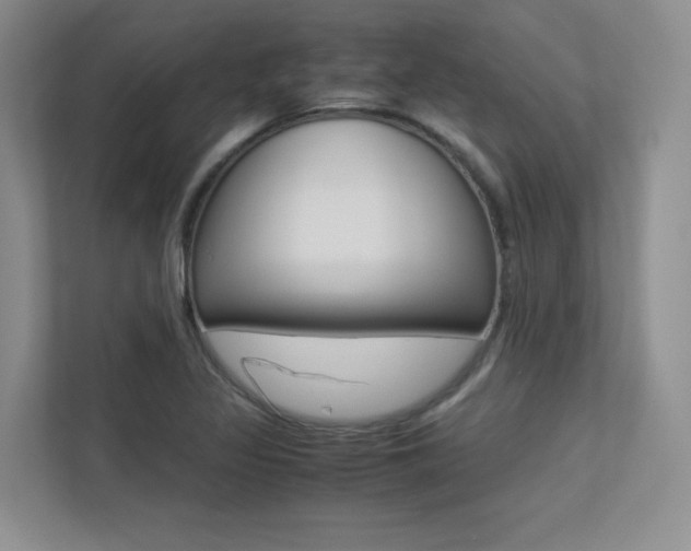 X0000113241317200909100915