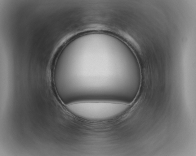 X0000113241318200909100915