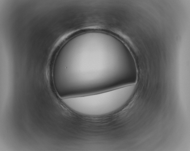 X0000113241319200909100915