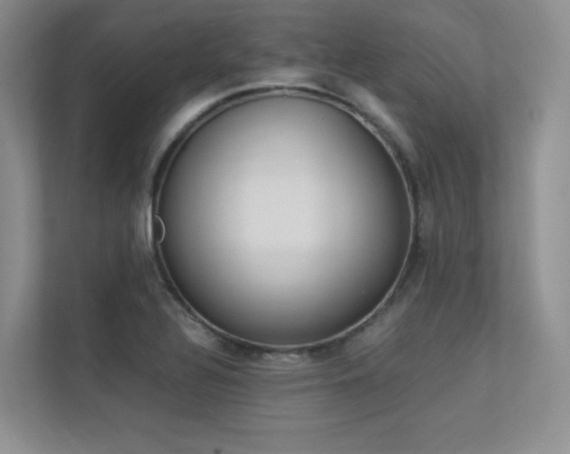 X0000113241320200909100915