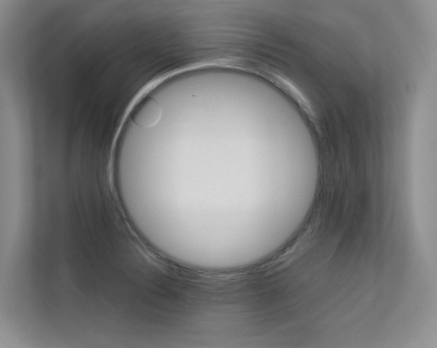 X0000113241324200909100915