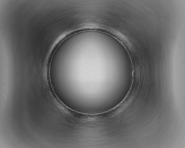 X0000113241326200909100915