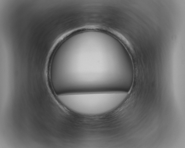X0000113241327200909100915