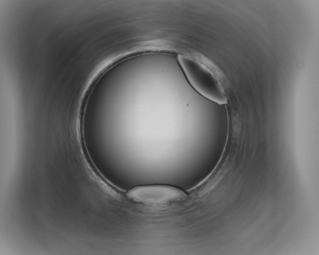 X0000113241334200909100915
