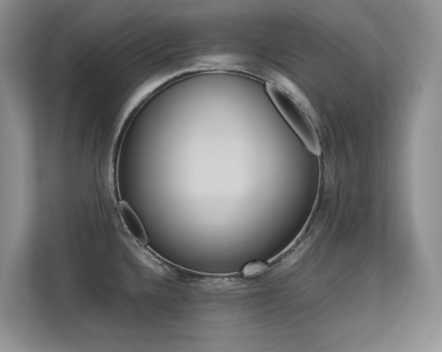 X0000113241336200909100915